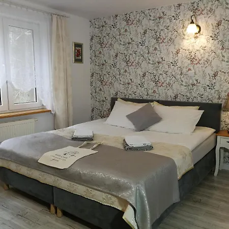 Lysica Krynica Morska