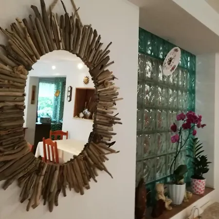 Lysica Krynica Morska