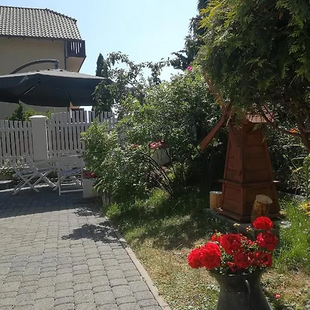 Lysica * Krynica Morska