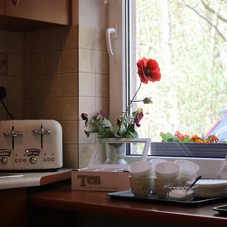 Lysica Homestay Krynica Morska