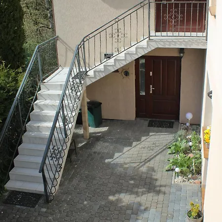 Lysica Krynica Morska