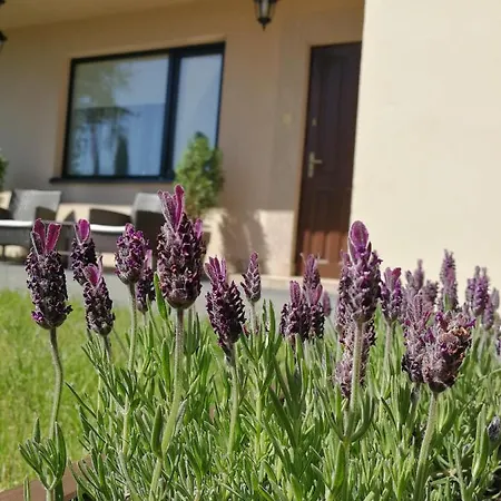 Lysica Privatunterkunft