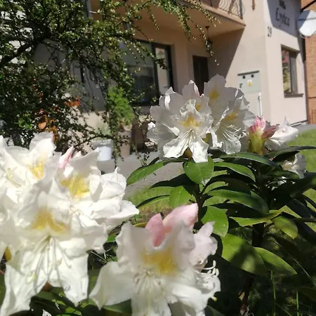 Privatunterkunft Lysica Krynica Morska