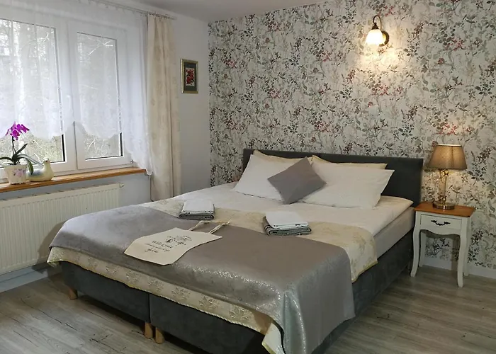 Lysica Krynica Morska