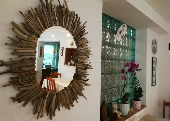 Lysica Krynica Morska