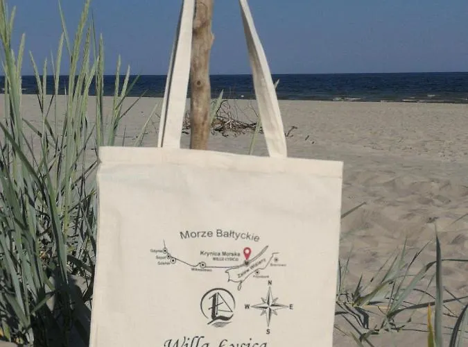 Lysica Krynica Morska