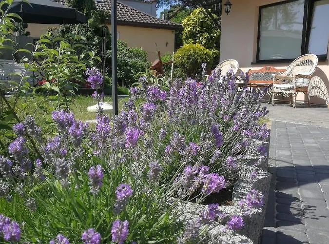 Pansiyon Lysica Krynica Morska