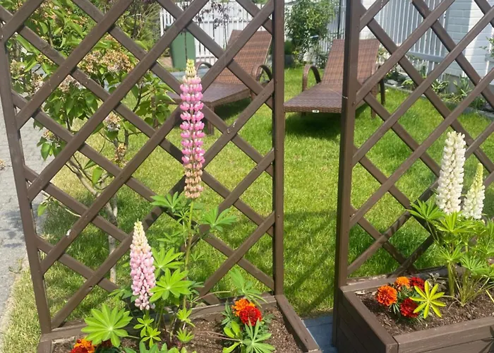 Lysica Krynica Morska