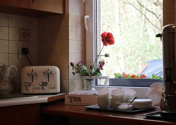 Lysica Pansiyon Krynica Morska