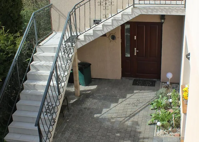 Lysica Krynica Morska