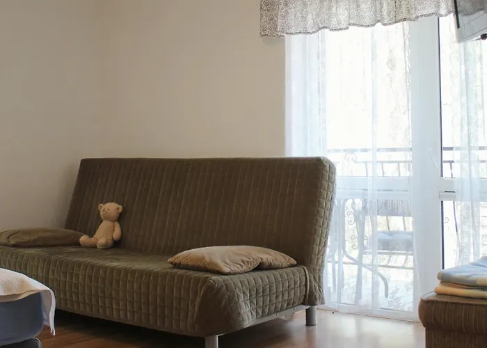 Lysica Krynica Morska