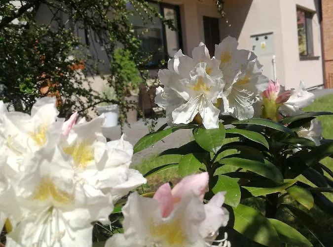 Pansiyon Lysica Krynica Morska