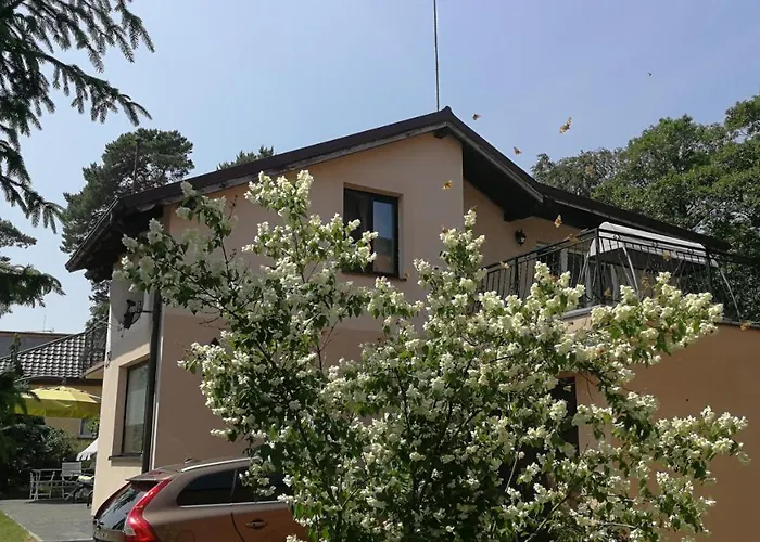 Lysica Krynica Morska